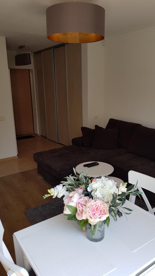Cozy Garden Free Parking Lejlighed VNO Eksteriør billede